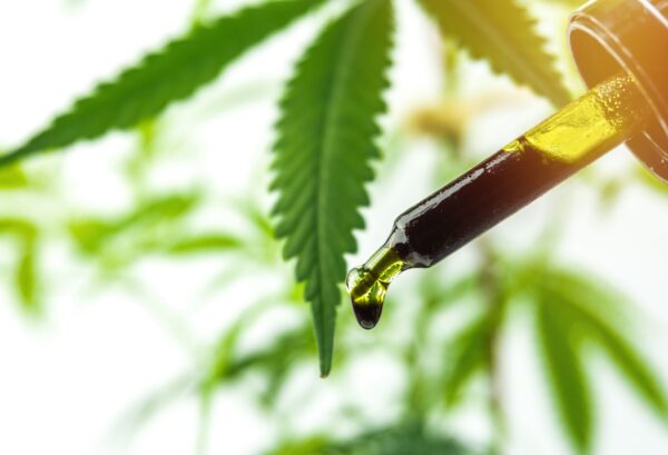 CBD And Drug Interactions Understanding The Risks