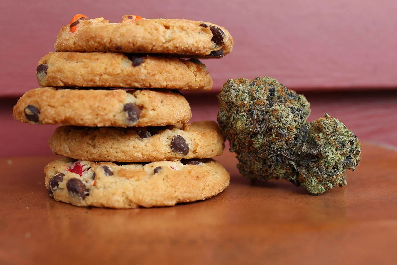 Che cos’è un Cannabinoide? 5 cose importanti da sapere