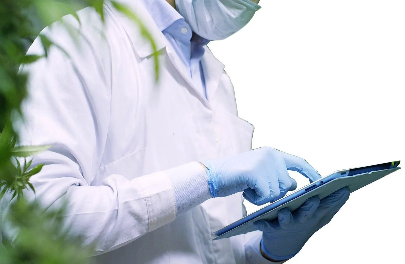 CBD Safe Lab Test Certified Hempati