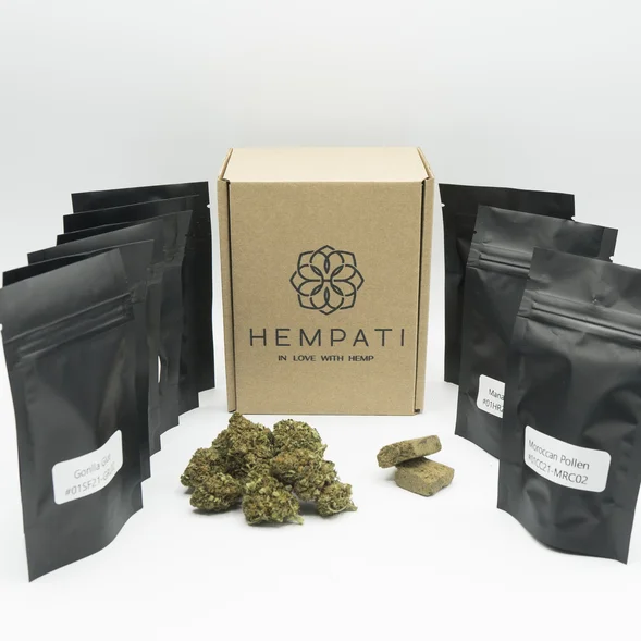 Amostras grátis de CBD - Hempati LITE com flor de CBD, haxixe de CBD