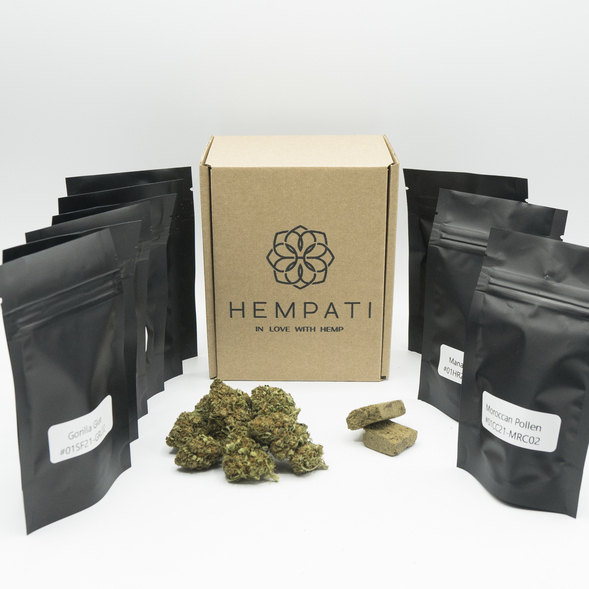 Campioni CBD gratuiti - Hempati LITE con CBD erba e CBD hashish