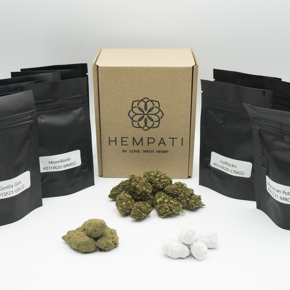 Campioni CBD gratuiti - Hempati PLUS con CBD erba, CBD hashish, CBD Moon Rock e CBD Ice Rock