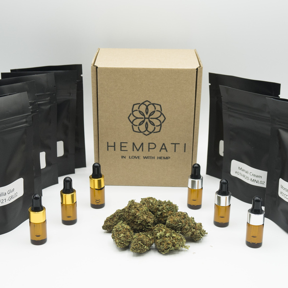 Campioni CBD gratuiti - Hempati PLUS con erba CBD, hashish CBD e olio CBD a spettro completo
