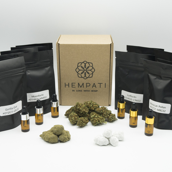 Campioni CBD gratuiti - Hempati SMART con erba CBD, hashish CBD, olio CBD a spettro completo, CBD Moon Rock e CBD Ice Rock