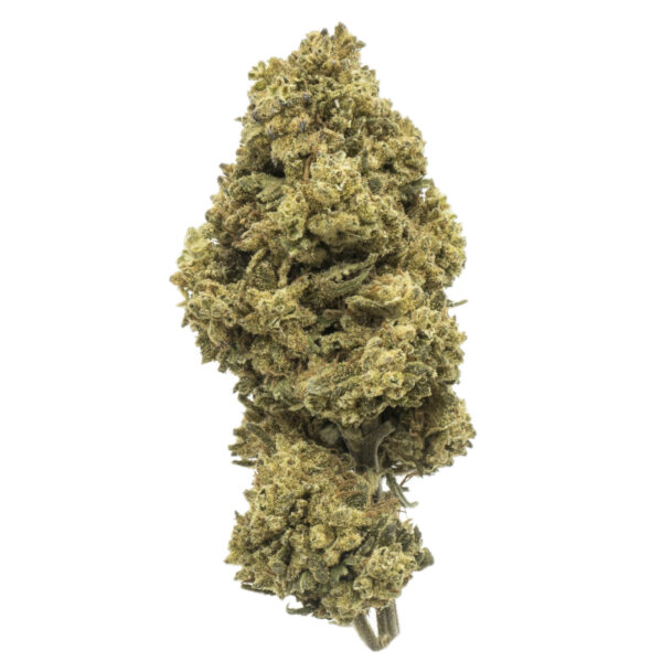 Amnesia Haze CBD Gras Legale Cannabis CBD Bluten