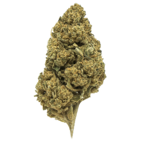 Cannatonic Indoor cogollos marihuana CBD cannabis legal