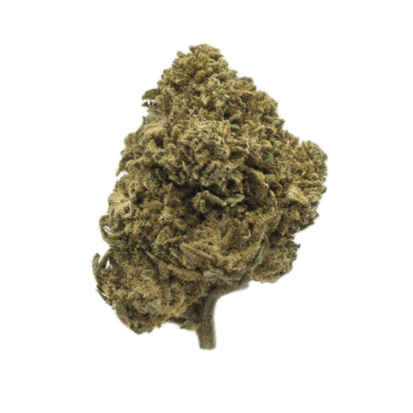 Harlequin CBD Gras Legale Cannabis CBD Bluten