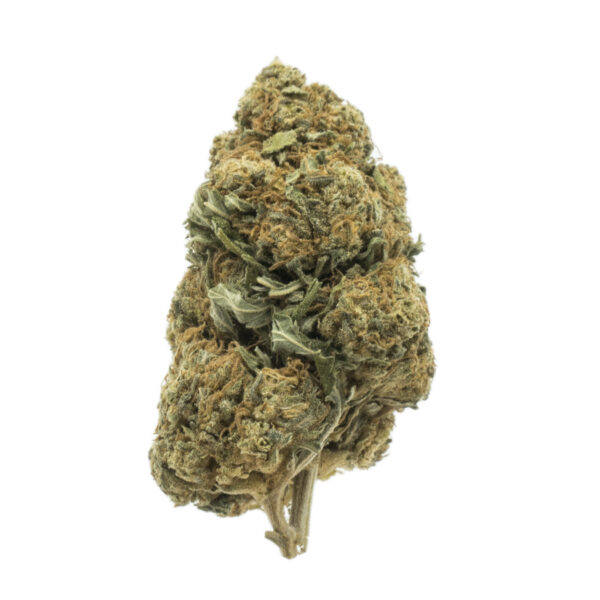 Candy Kush Fleurs de CBD bourgeon bouton Cannabis legal