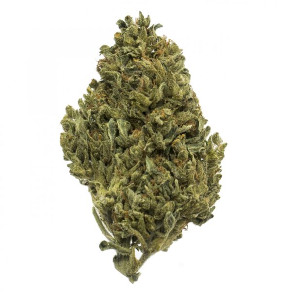 Orange Karma Fleurs de CBD bourgeon bouton Cannabis legal