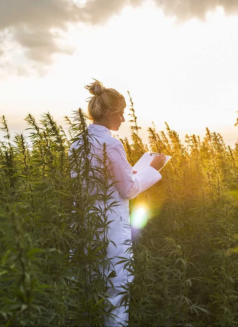 cbd wholesale UK and Ireland