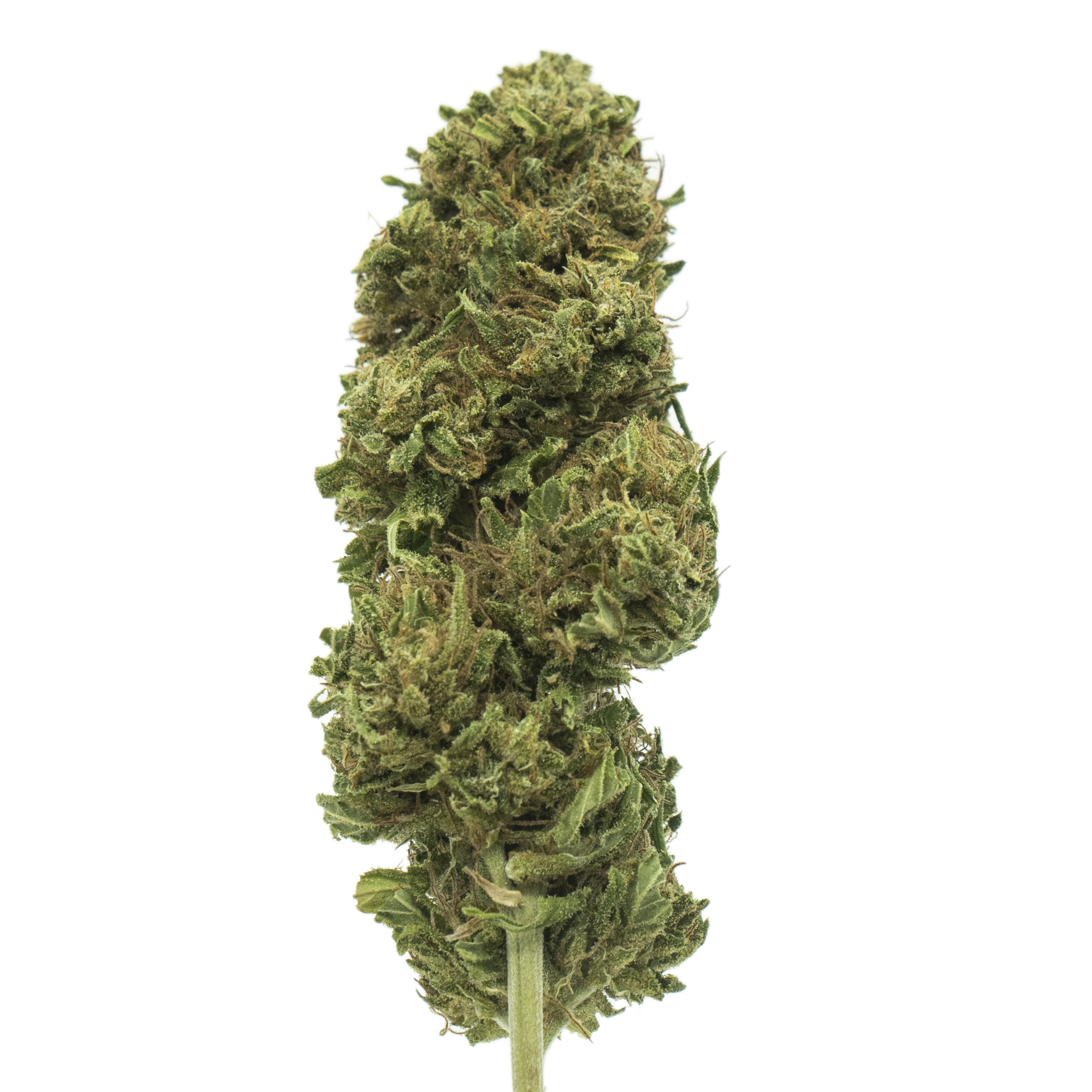 Bubba Kush - canapa light, erba legale, marijuana CBD