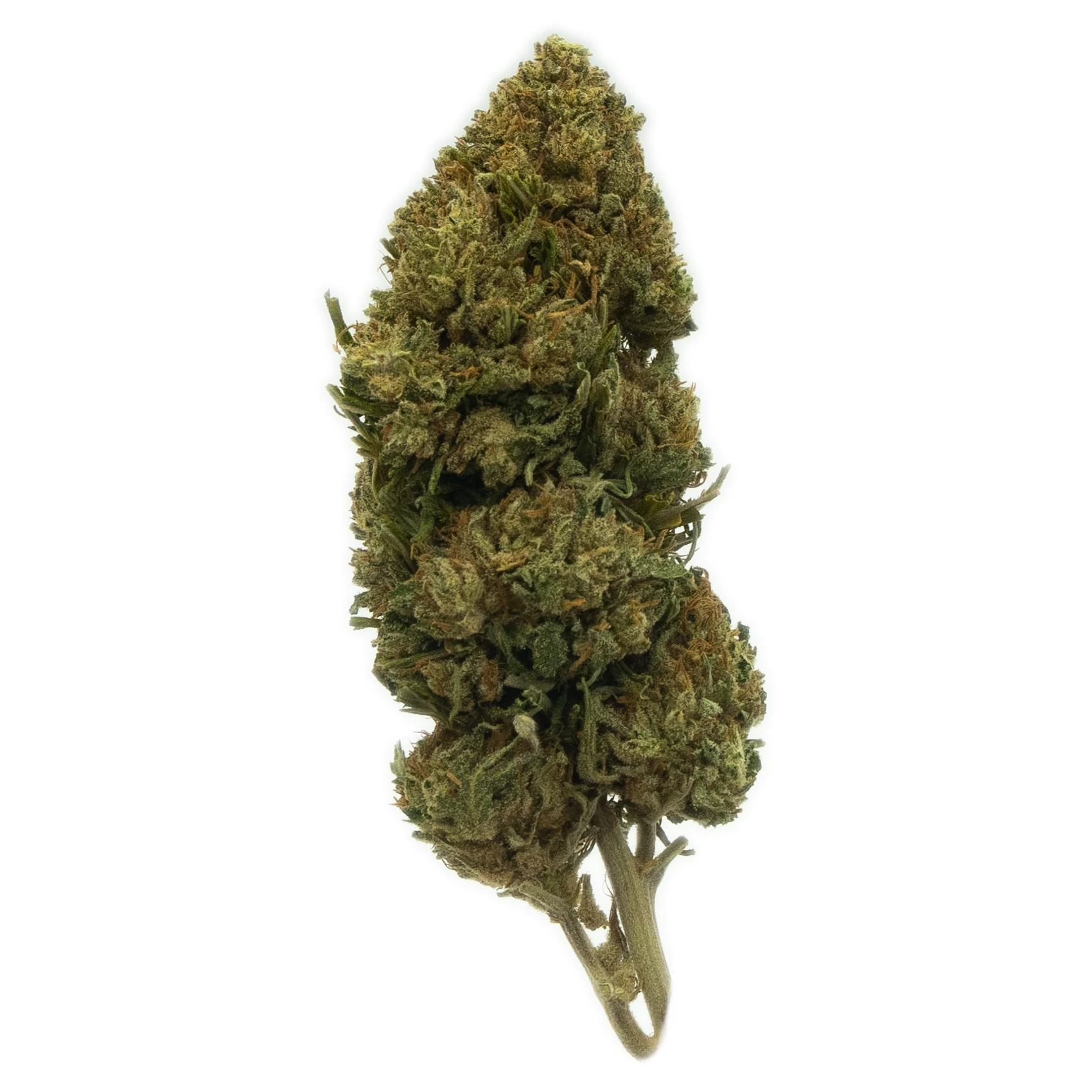 Cali Haze