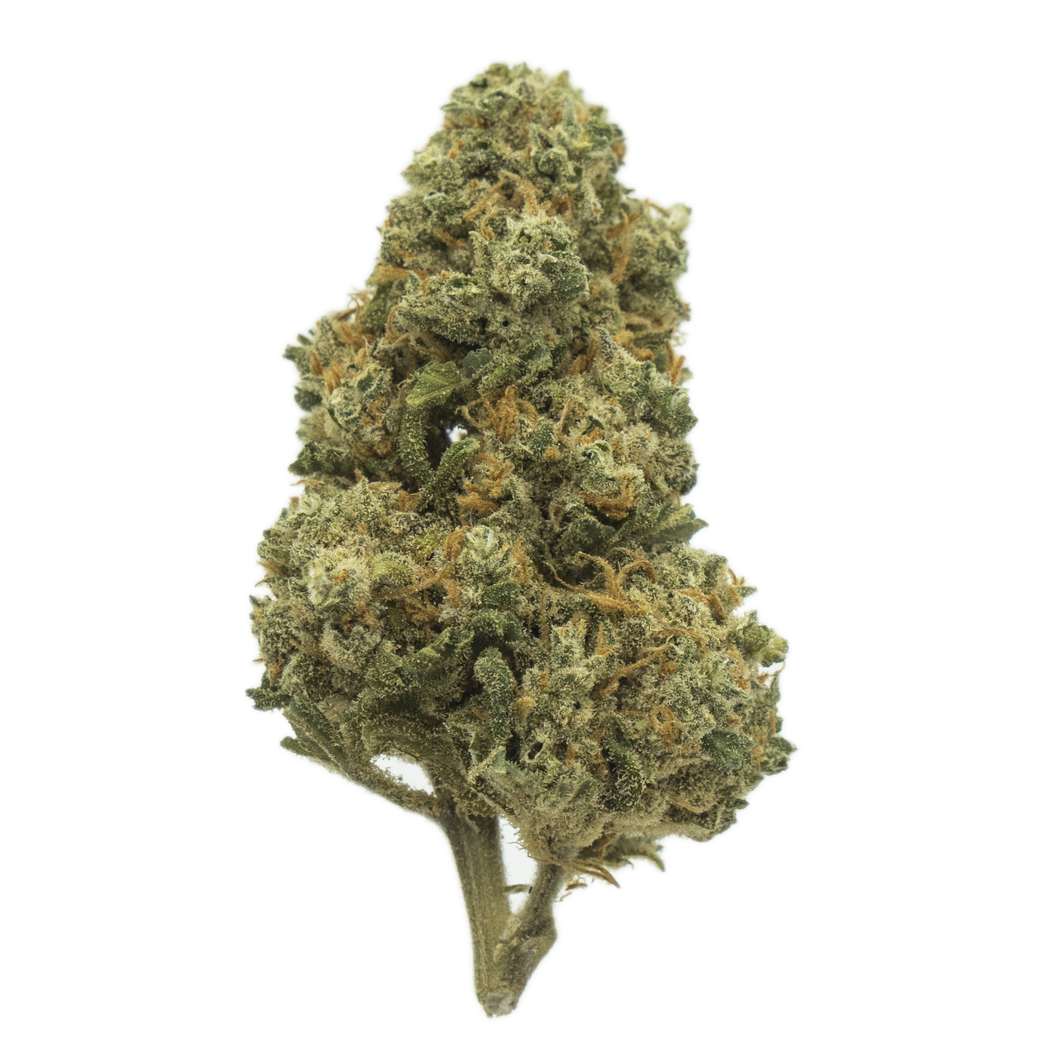 Cali Haze - cogollos de Marihuana CBD