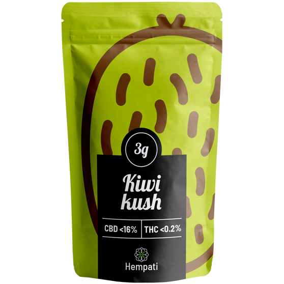 Kiwi Kush Botões de Cannabis CBD Bolsas Maconha Hempati