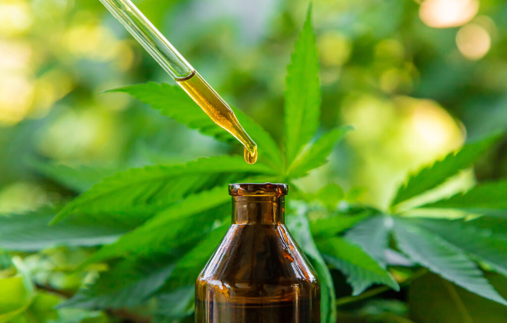 El Mejor Aceite De CBD: Qué Elegir Y Qué Tener En Cuenta