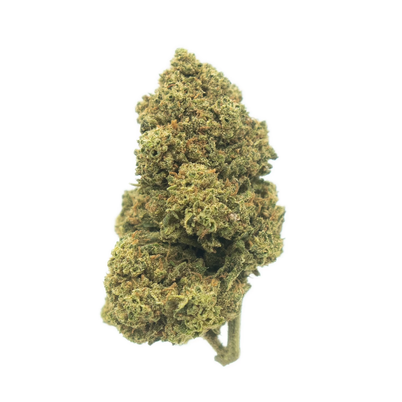 Bubblegum