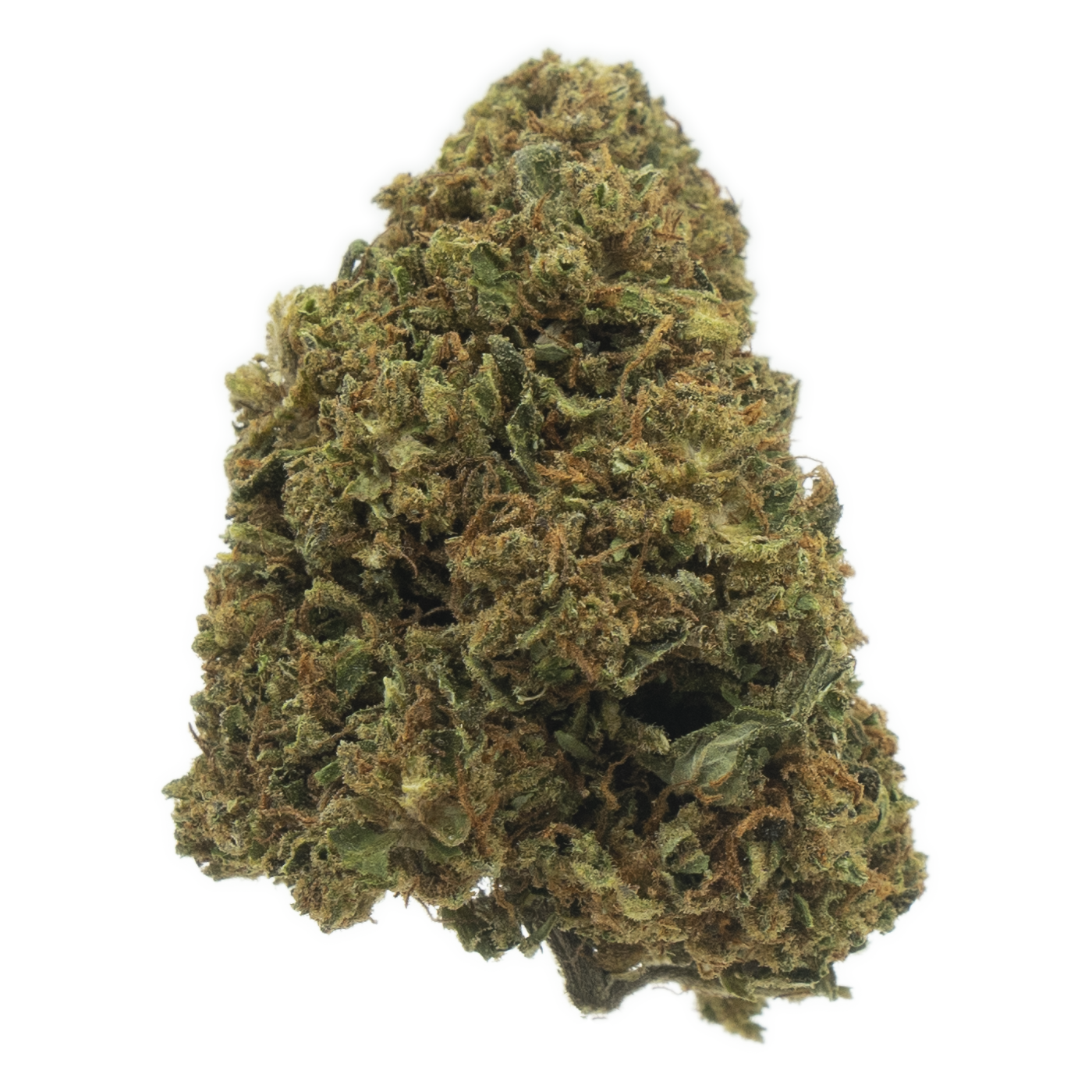 Hindu Kush