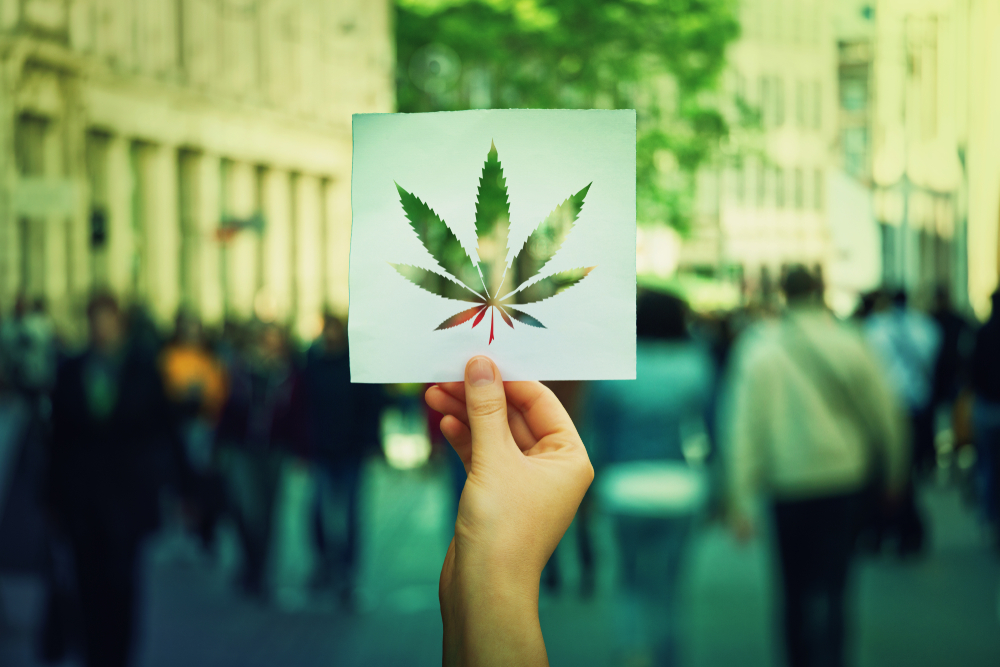 Exploring the fascinating History of Hashish: From Ancient Times to Modern Day