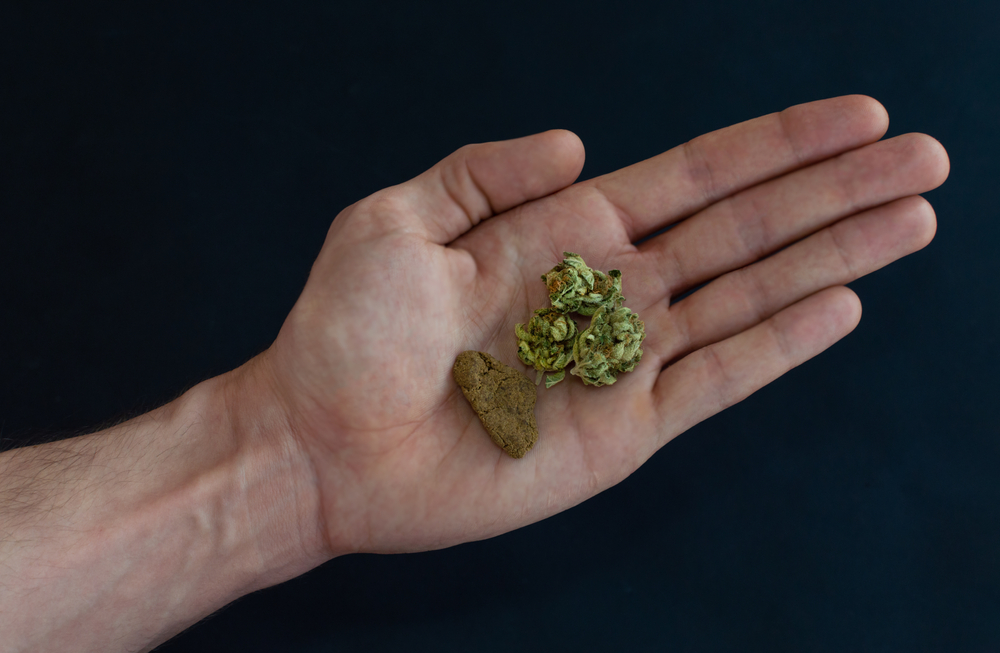 A Quick Guide to the World's Different Types of Hash