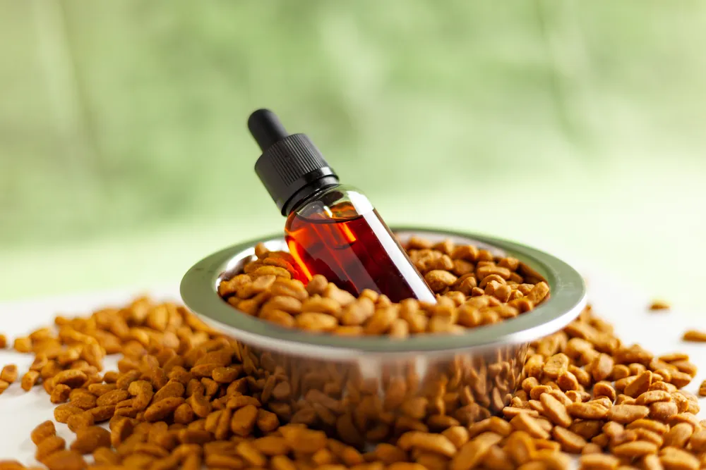 Il CBD per animali esotici è la cura perfetta?